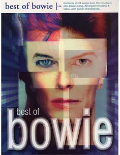 Best of Bowie 39 Songs from the hit album
