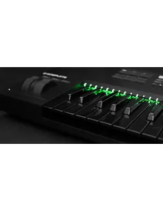 NATIVE INSTRUMENTS Kontrol S61 keyboard MK2 LIMITED EDITION BLACK KEYS