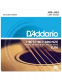 D\'Addario EJ16 Phosphor Bronze