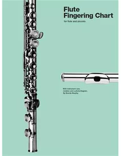 Grifftabelle Flute / dwarsfluit