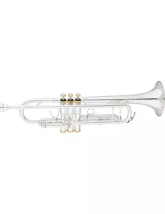 A. Eastman Winds ETR524GS trompet Bb