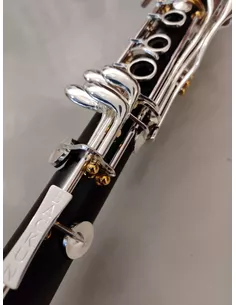 Backun Protege BPGRGPSK klarinet, Bb 18/6