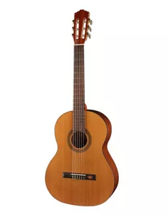 Salvador Cortez CC-10-SN Klassieke gitaar